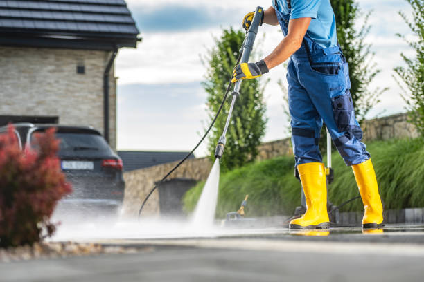 Best Roof Washing  in Springfield, IL